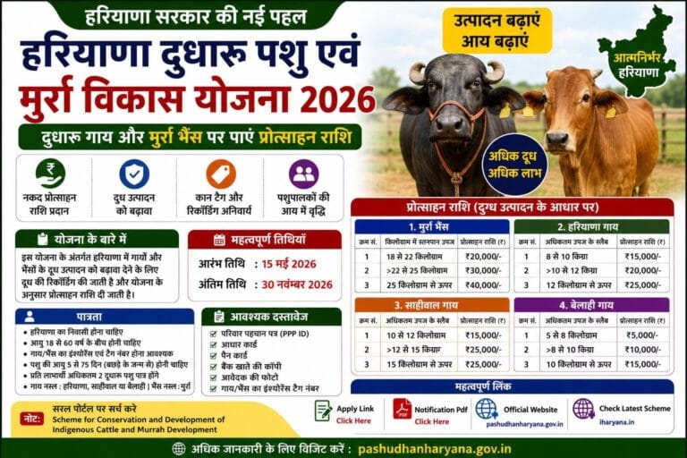 Haryana Cattle and Murrah Development Yojana