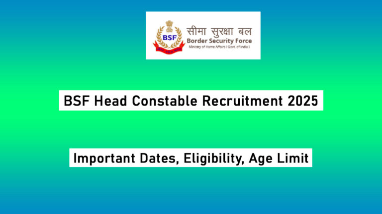 BSF HC RO RM Recruitment 2025
