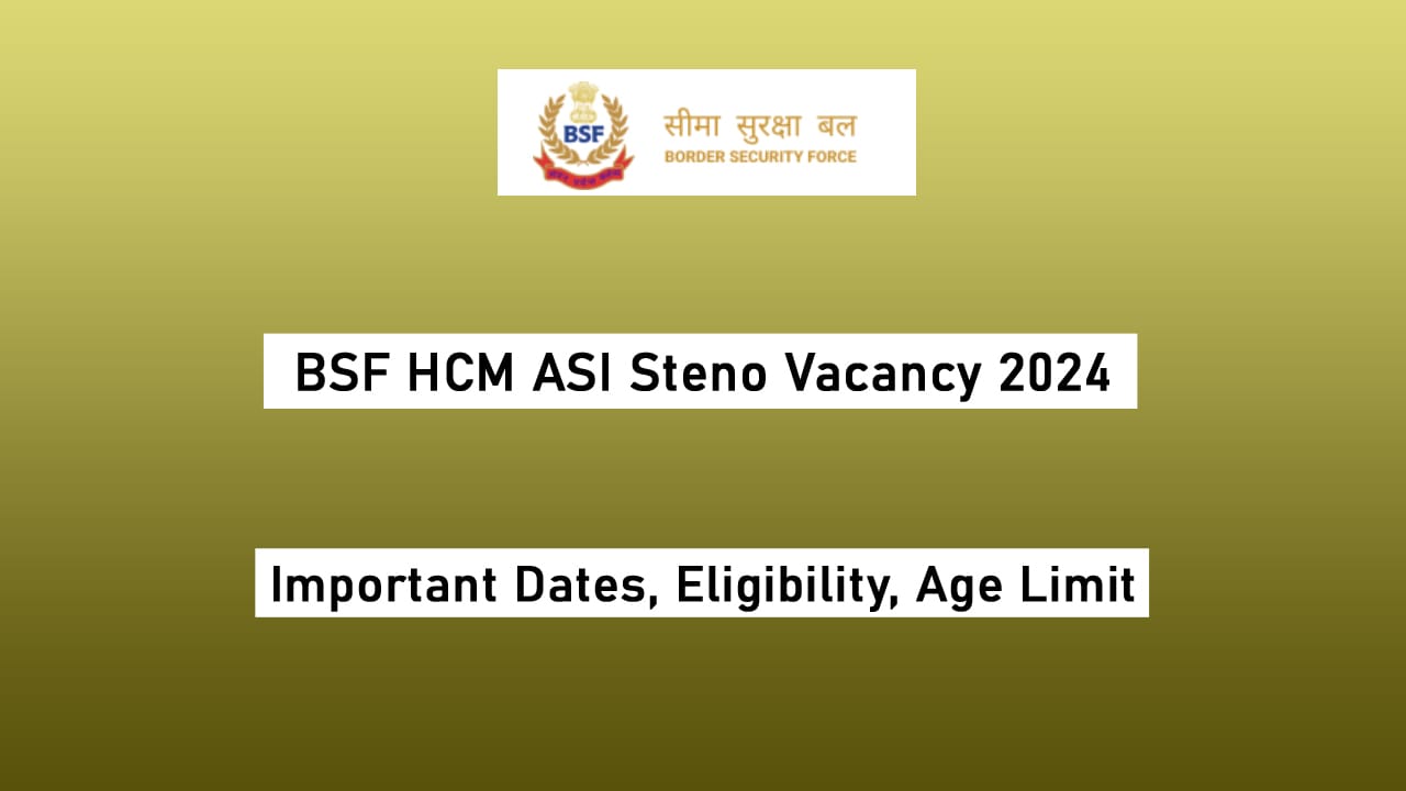 BSF HCM ASI Steno Vacancy 2024