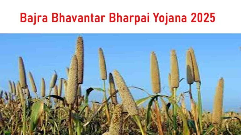 Bajra Bhavantar Bharpai Yojana 2025