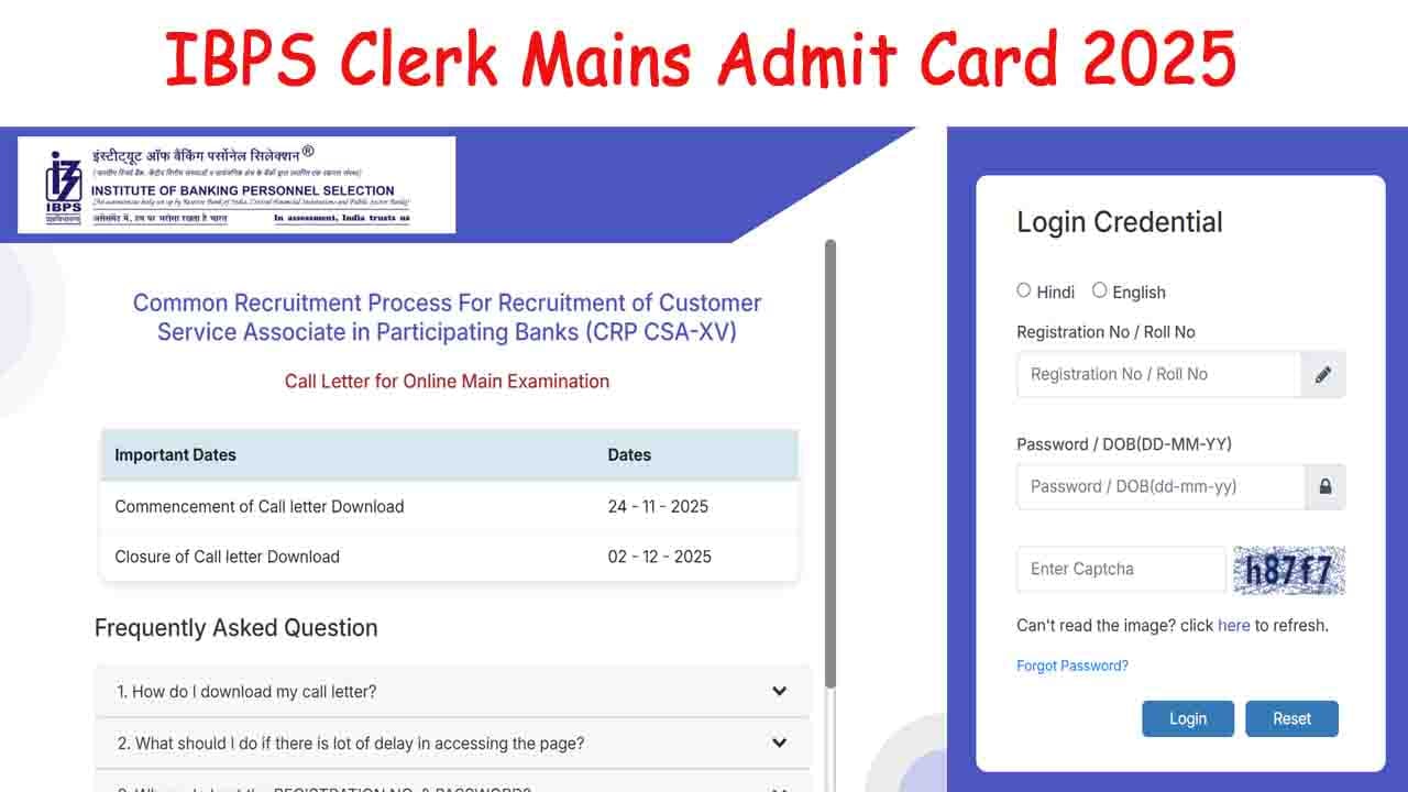 IBPS Clerk Mains Admit Card 2025