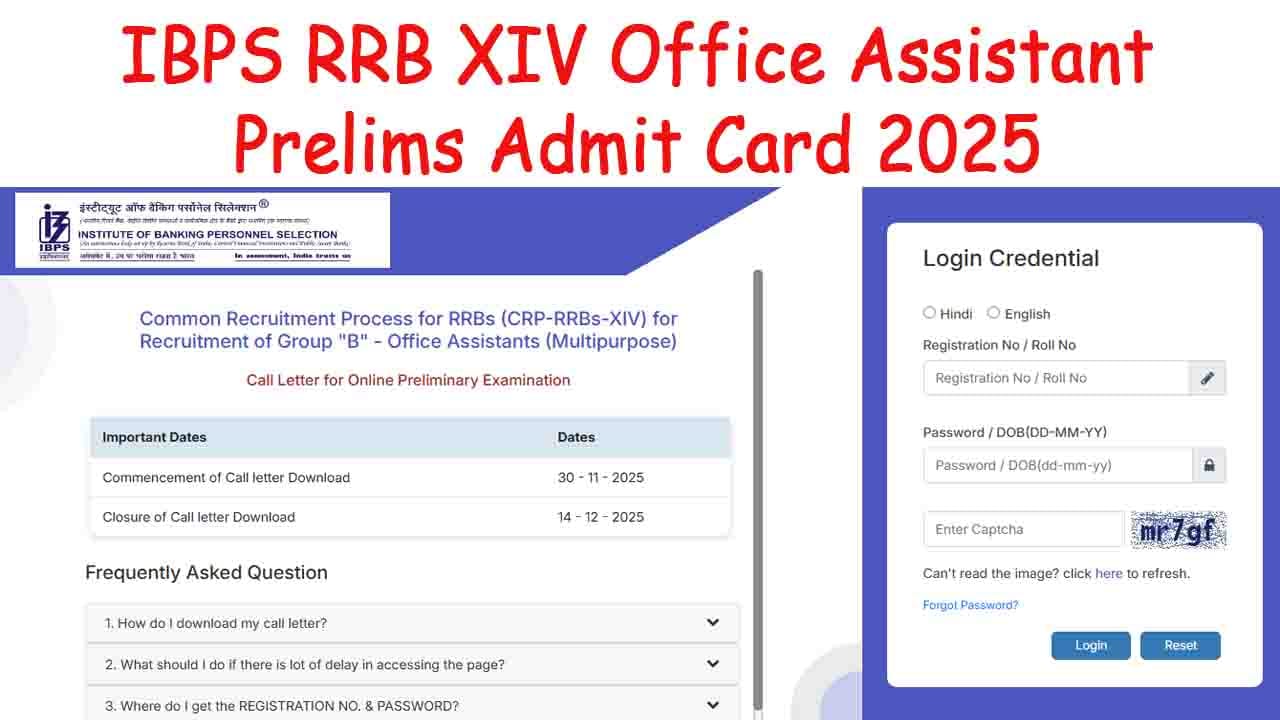 IBPS RRB XIV Office Assistant Prelims Admit Card 2025