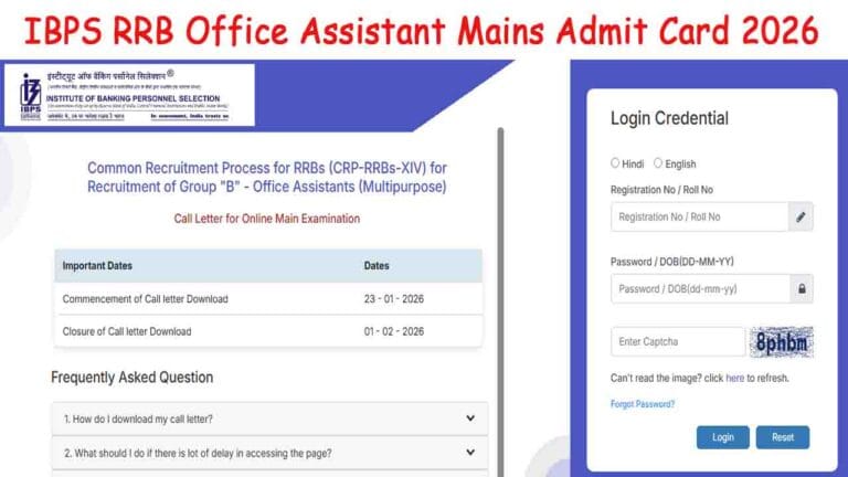 IBPS RRB Office Assistant Mains Admit Card 2026