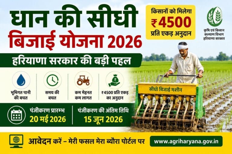 Dhan Ki Sidhi Bijai Yojana 2026